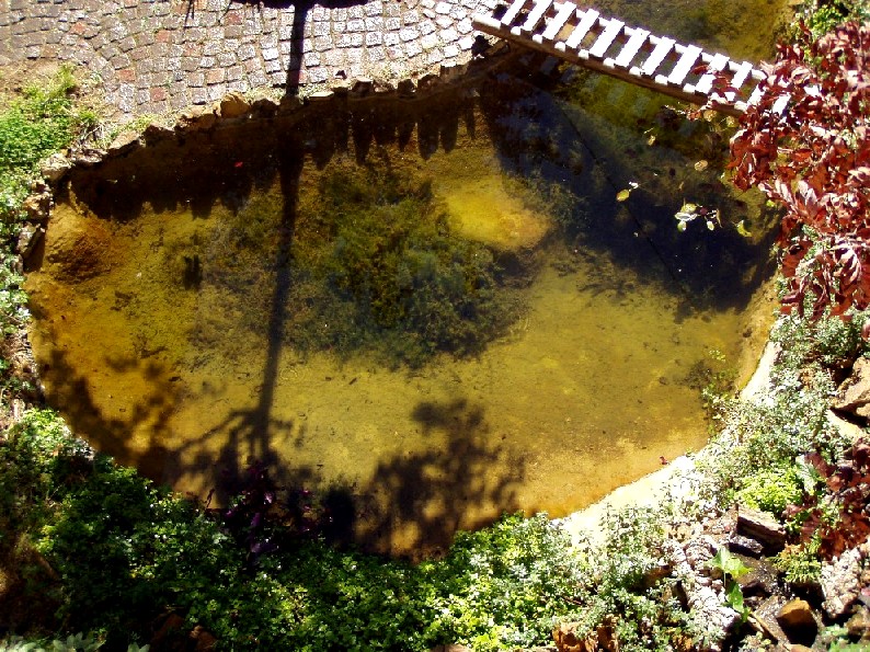 Il Laghetto del Centro di Entomologia - Piombino (LI)